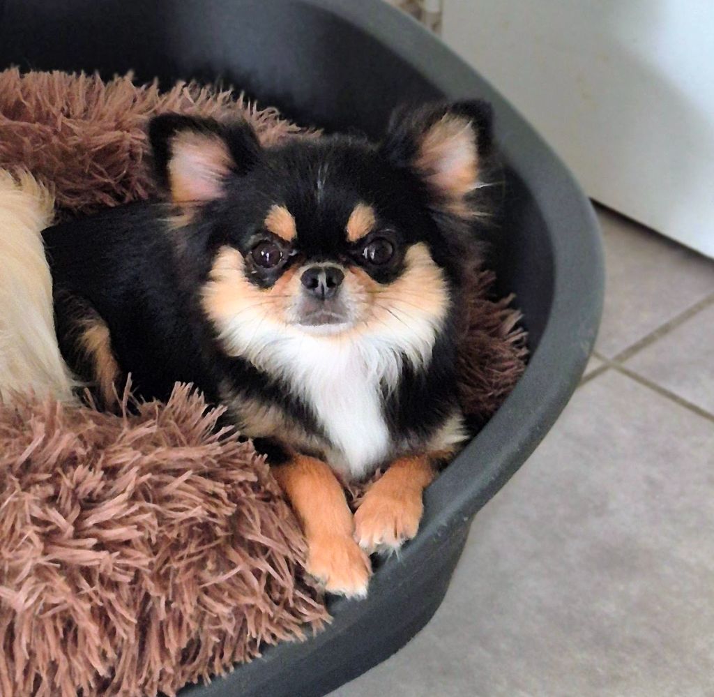 Portée Inattendue !! ??